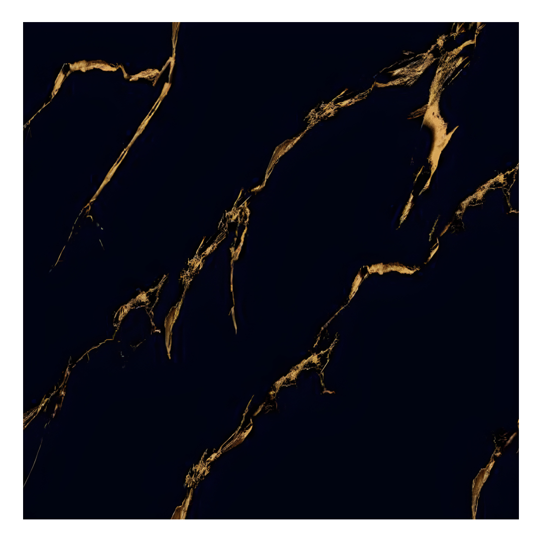 ILLINOIS BLACK Black